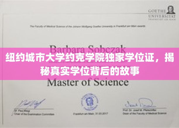 纽约约克学院学位证探秘，揭秘独学位背后的传奇之路