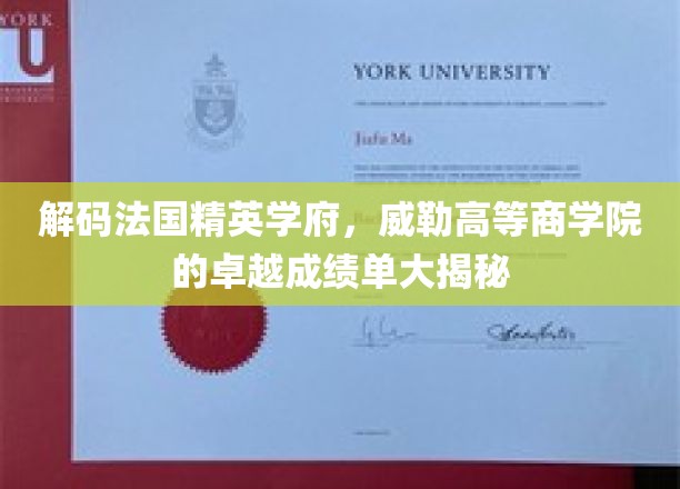 解码法国精英学府，威勒高等商学院的卓越成绩单大揭秘