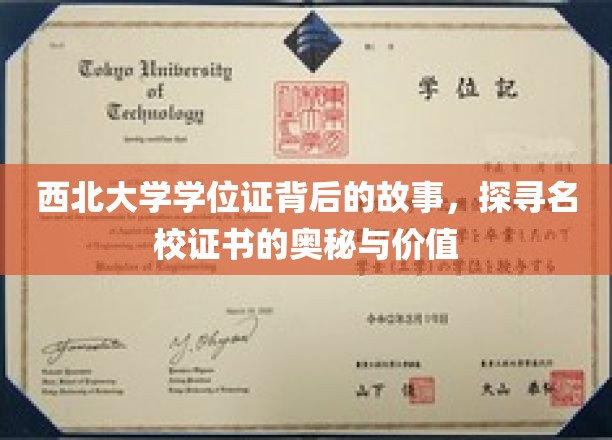 西北大学学位证背后的故事，探寻名校证书的奥秘与价值