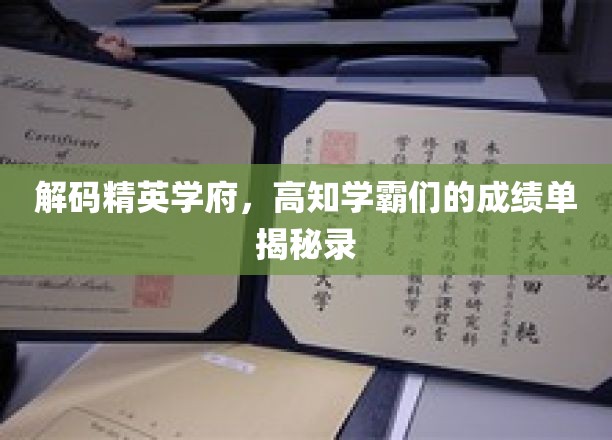解码名校精英圈，揭秘高知学霸们的成长轨迹与成绩秘密