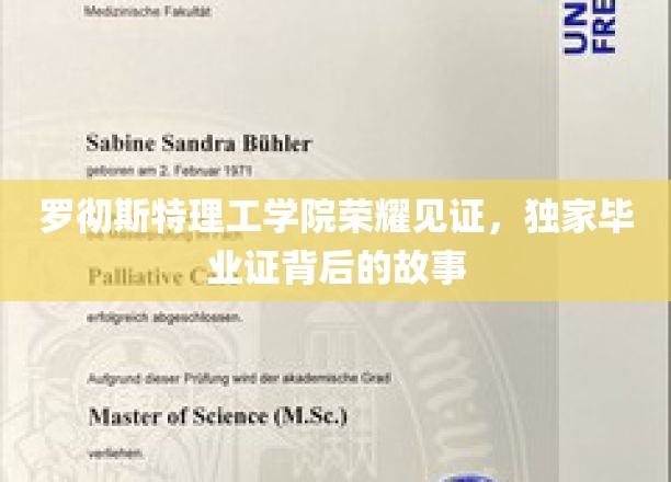 罗切斯特理工荣耀瞬间，揭秘毕业证书背后的非凡历程