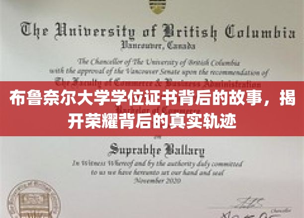 布鲁奈尔大学学位证书背后的故事，揭示荣耀背后的真实轨迹