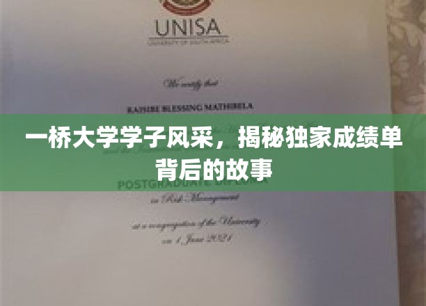 一桥学子卓越之路，探寻成绩单背后的璀璨人生