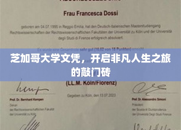 芝加哥大学文凭，人生巅峰启航的金钥匙