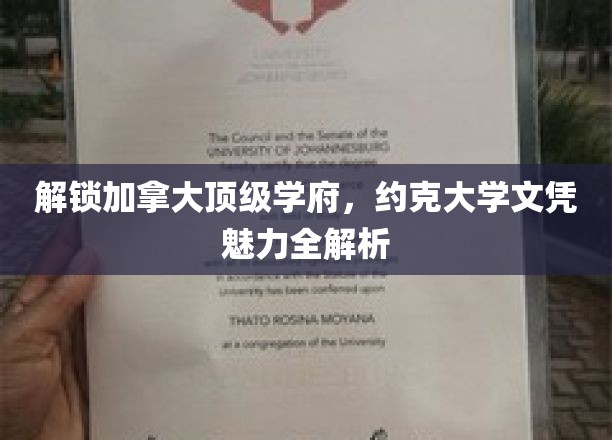 解锁加拿大顶级学府，约克大学文凭魅力全解析