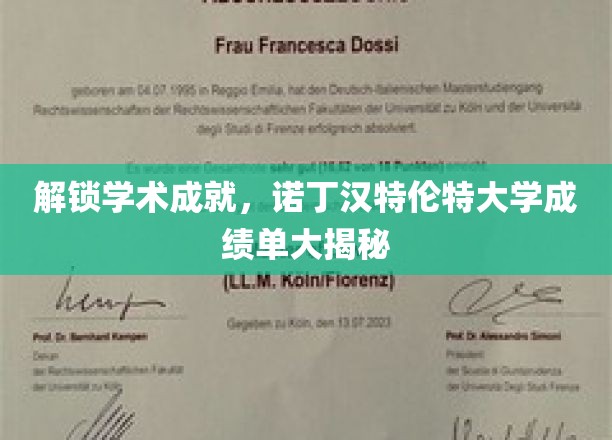 揭秘诺丁汉特伦特大学成绩单，探寻学术成就