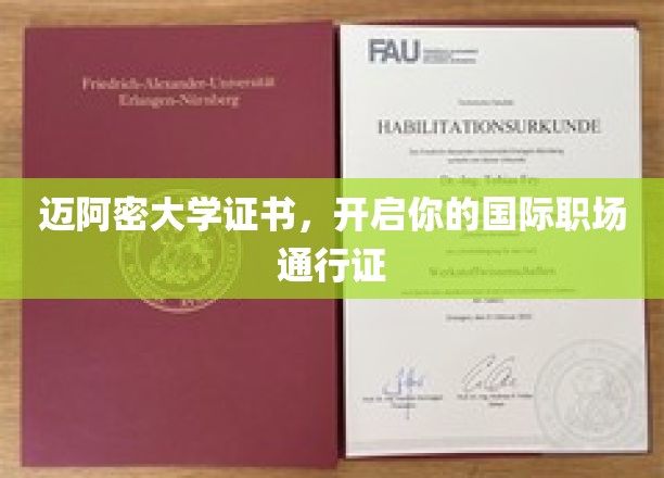 迈阿密大学证书,开启你的国际职场通行证