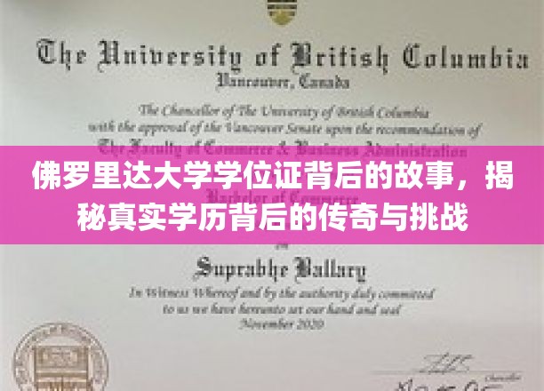佛罗里达大学学位证，探寻学历传奇背后的奋斗与考验