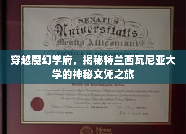 穿越魔幻学府，探索特兰西瓦尼亚大学的神秘文凭之旅