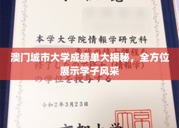 澳门城市大学学子风采大盘点，揭秘多元成就背后的故事