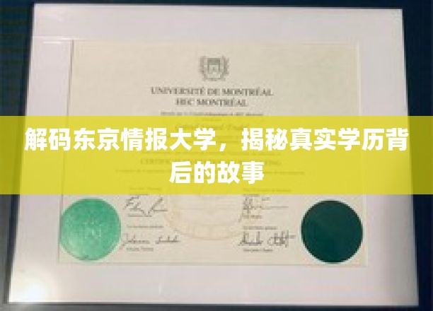 揭开东京情报大学神秘面纱，学历真相与传奇背后的故事