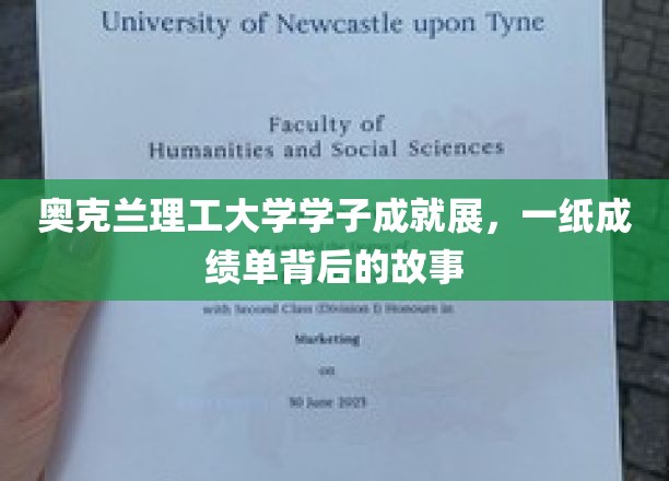 奥克兰理工精英录，揭秘学子背后的辉煌篇章