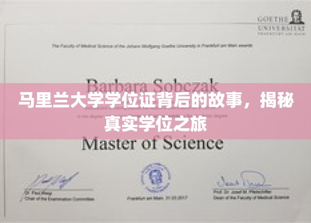 马里兰大学学位证背后的传奇，探寻真实的学业征途