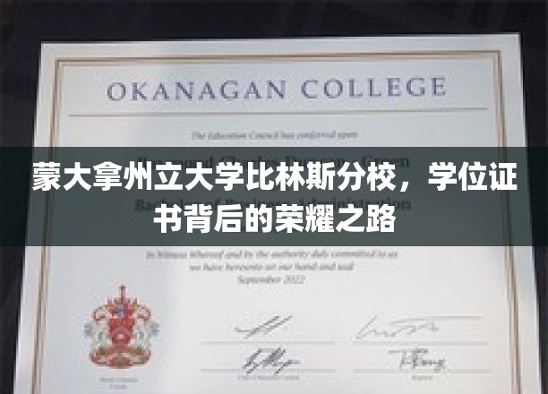 蒙大拿州立荣耀见证，比林斯分校学位证书背后的奋斗篇章