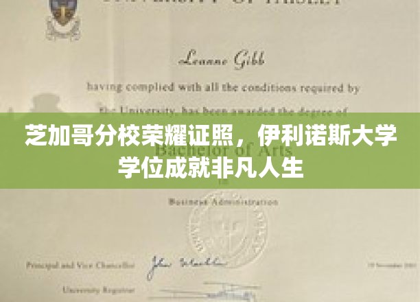 芝加哥荣耀，伊利诺斯大学学位成就非凡人生里程碑