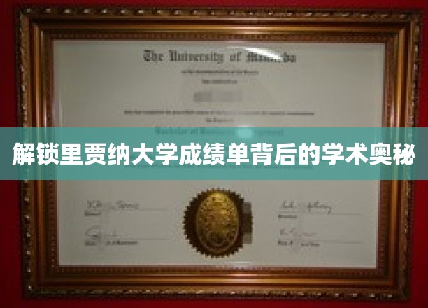 揭开里贾纳大学成绩单的秘密，探索学术成就的深层密码