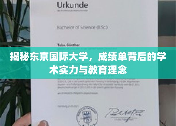 探寻东京国际大学，成绩单背后，深度解析学术魅力与育人智慧
