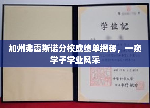 解码加州弗雷斯诺分校学子成绩榜，展现学术风采瞬间