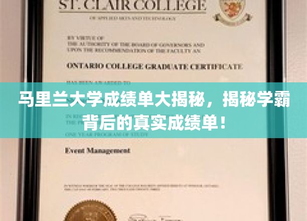 马里兰学霸真实成绩单曝光，揭秘学霸背后的学术实力