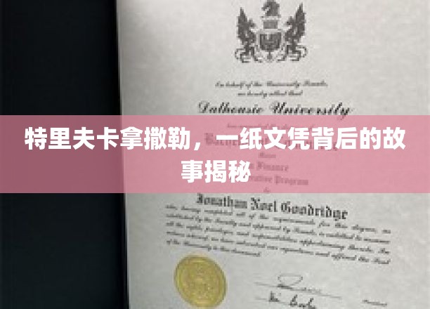 文凭背后，特里夫卡拿撒勒的传奇人生揭晓