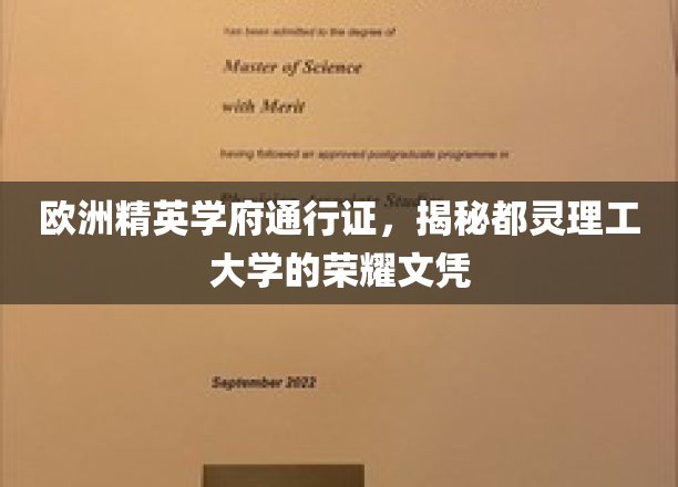 欧洲精英学府通行证，揭秘都灵理工大学的荣耀文凭