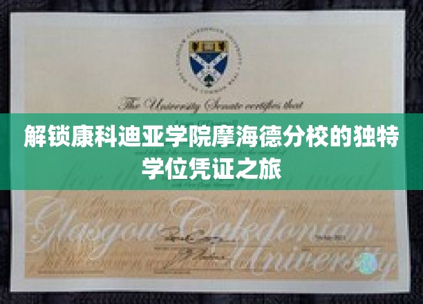 探寻康科迪亚学院摩海德分校神秘学位背后的精彩篇章