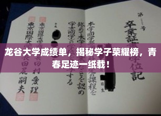 龙谷荣耀瞬间，一纸成绩单，青春足迹映辉煌