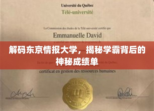东京学霸秘籍大揭秘，情报大学成绩单背后的惊人真相