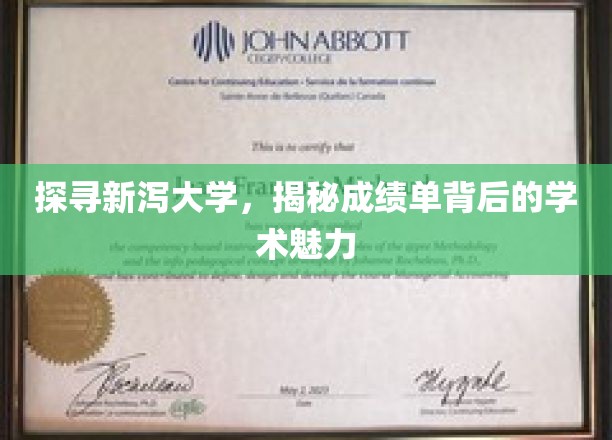 解码新泻大学，揭秘成绩单背后的学术风采