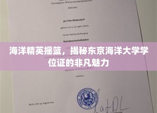 东京海洋大学学位证，海洋精英的荣耀凭证，探索非凡教育力量