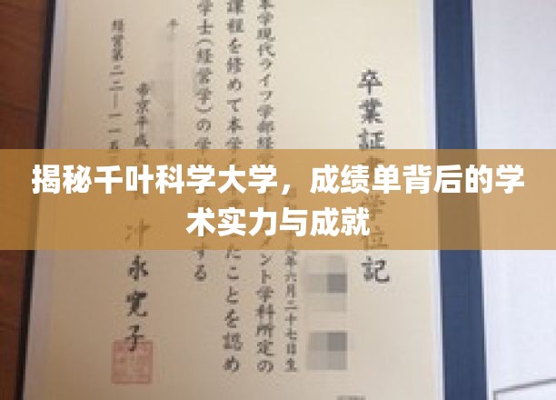 千叶科学大学，揭开成绩单背后的学术奥秘与辉煌成就