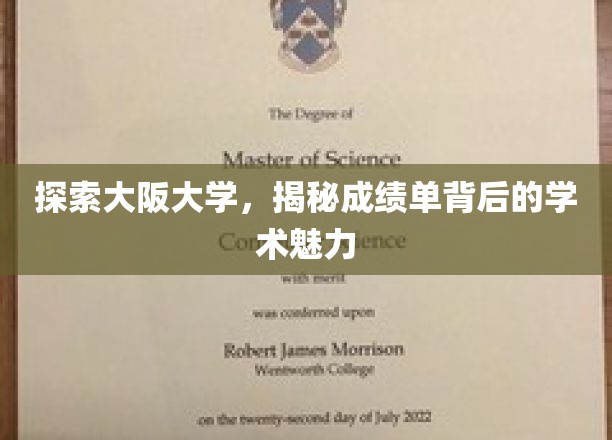解码大阪大学，成绩单背后的学术风采揭秘