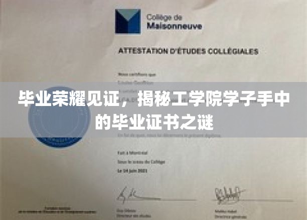 工学院荣耀启航，揭秘学子手中毕业证书背后的故事