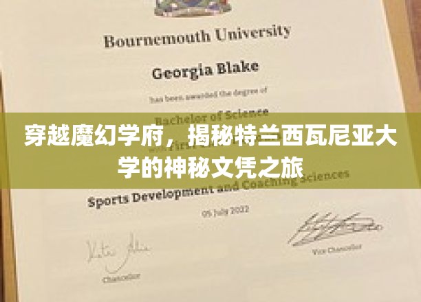 探寻神秘学府，特兰西瓦尼亚大学的魔幻文凭寻踪记