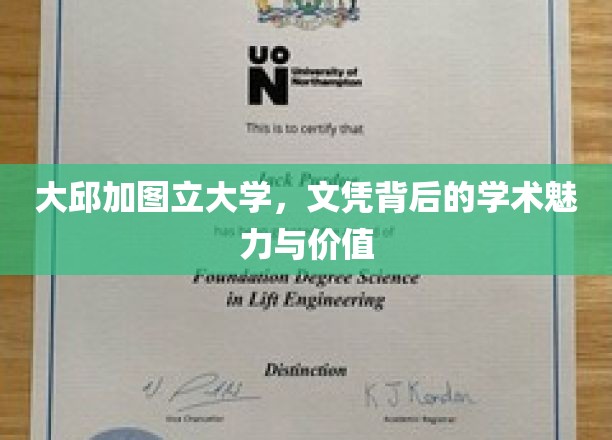 解码大邱加图立大学，文凭背后的学术之光与无限价值