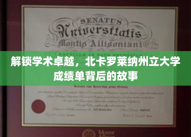 探寻学术精英之路，北卡罗莱纳州立大学成绩单背后的精彩篇章