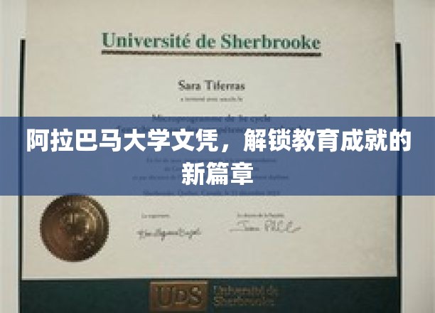 阿拉巴马大学文凭，开启学术辉煌之旅