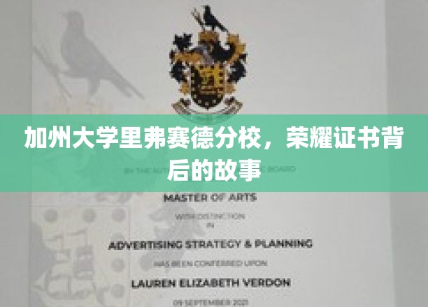 探寻加州大学里弗赛德分校荣耀证书背后的传奇之旅