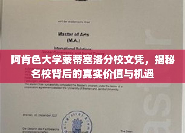 揭开阿肯色大学蒙蒂塞洛分校文凭的含金量，探索名校背后的无限机遇