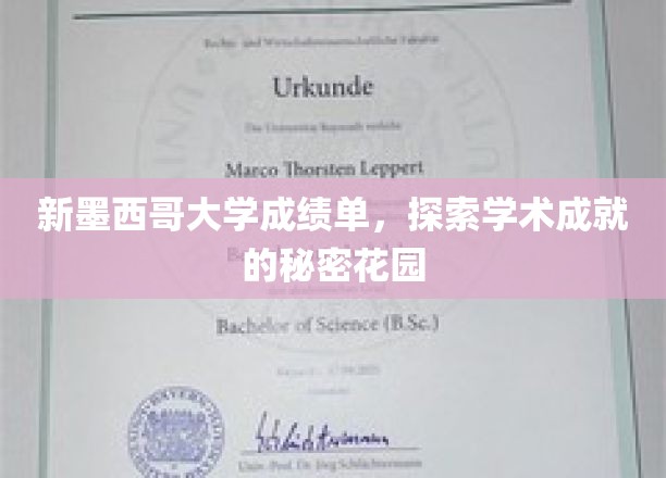 解锁新墨西哥大学，揭秘学术奇才的摇篮之美