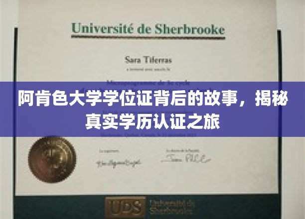 探索阿肯色大学学位证的奥秘，揭秘学历认证的真实历程