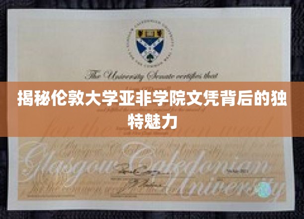 伦敦大学亚非学院文凭，探寻其教育品质的独特光芒