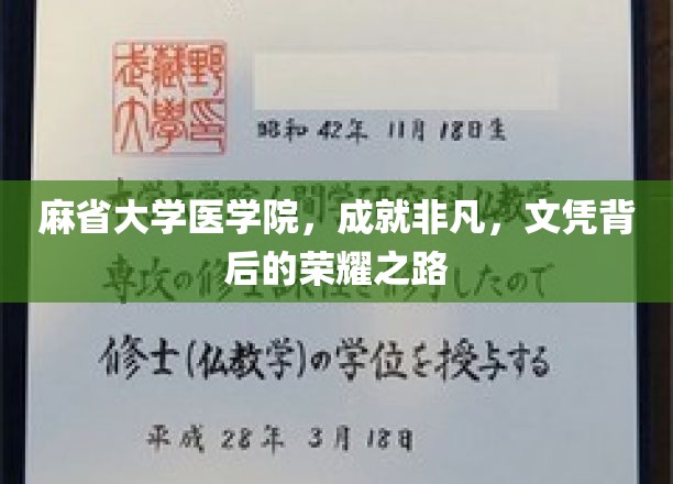 探寻麻省大学医学院卓越成就，文凭背后的辉煌征途
