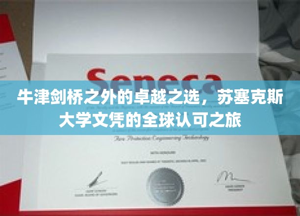 超越牛津剑桥，苏塞克斯大学文凭引领全球认可之旅