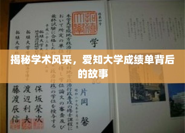 探寻爱知大学风采，那些不为人知的成绩单故事
