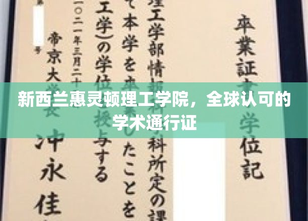 惠灵顿理工学院，国际认可的学术桥梁，开启全球教育之门