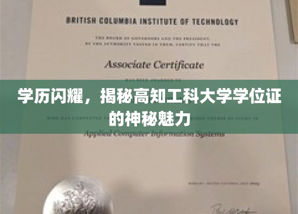 解码高知精英，揭秘工科学位证的璀璨光环