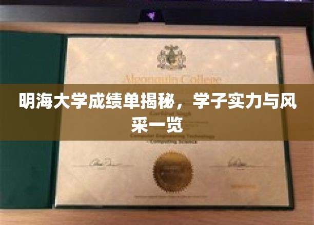 明海大学成绩单揭秘，学子实力与风采一览