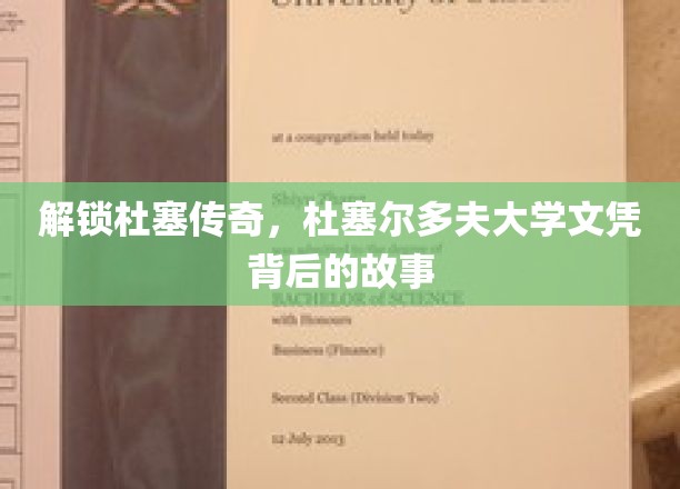 杜塞尔多夫大学文凭探秘，揭秘名校背后的传奇故事