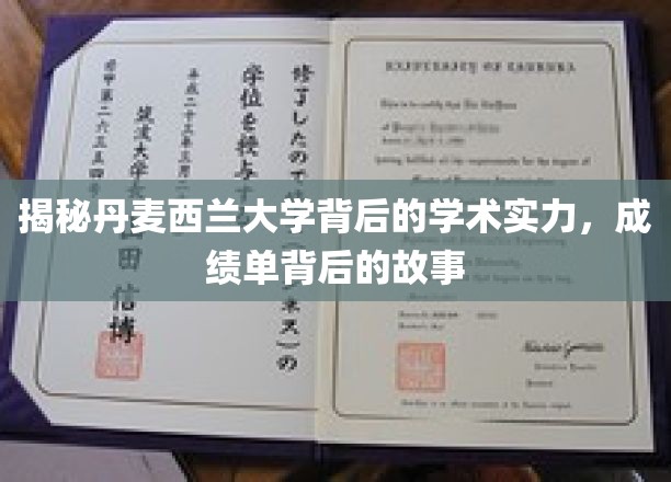 揭秘丹麦西兰大学背后的学术实力，成绩单背后的故事